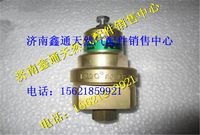 WG10000021（DZ9325956015,西安德森LNG氣瓶增壓調節(jié)閥,濟南鑫通天然氣銷售中心