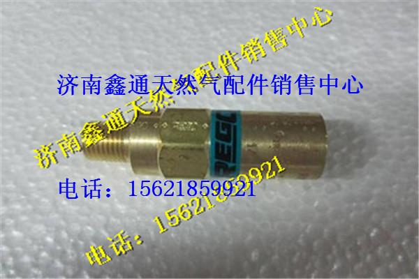 WG10000004（DZ93259560146,西安德森LNG氣瓶主安全閥,濟(jì)南鑫通天然氣銷售中心