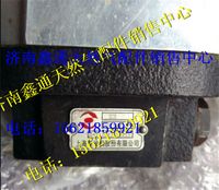 D52-000-18,上柴天然氣轉向油泵,濟南鑫通天然氣銷售中心