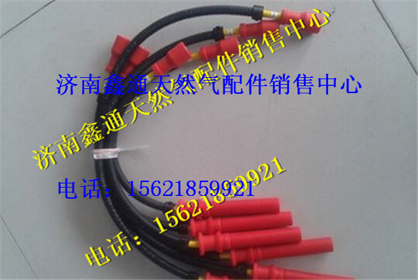 濰柴LNG天然氣發(fā)動機高壓線,濰柴LNG天然氣發(fā)動機高壓線,濟南鑫通天然氣銷售中心