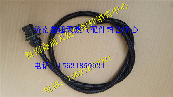 濰柴SCR排氣溫度傳感器/612640130139