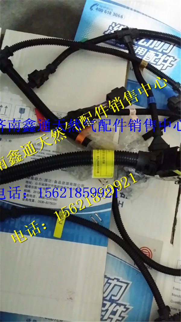 612600081338,濰柴WP10傳感器線束,濟南鑫通天然氣銷售中心