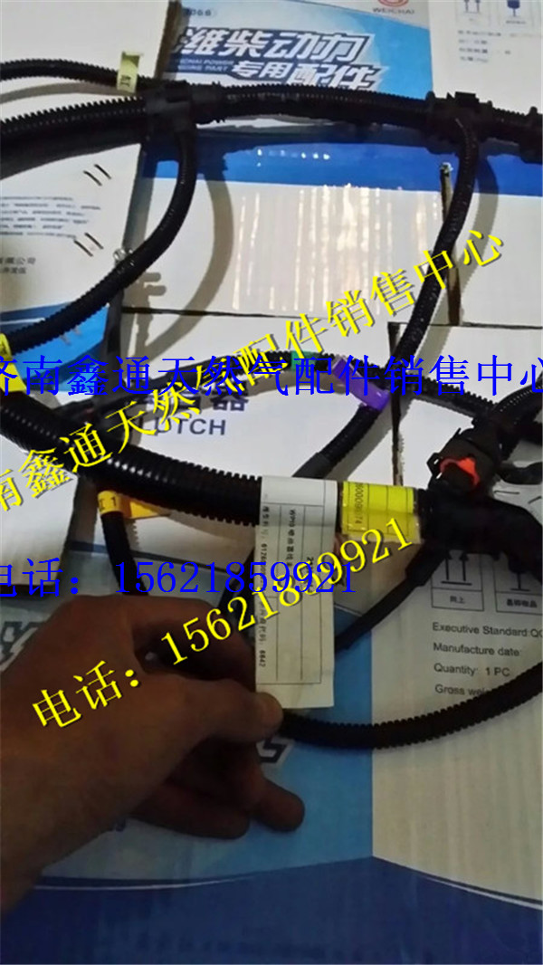 612600090374,濰柴WP10噴油器線(xiàn)束,濟(jì)南鑫通天然氣銷(xiāo)售中心