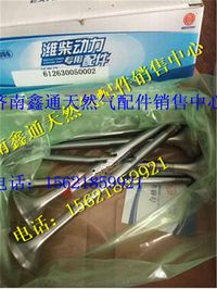 濰柴WP12發(fā)動(dòng)機(jī)配件進(jìn)排氣門