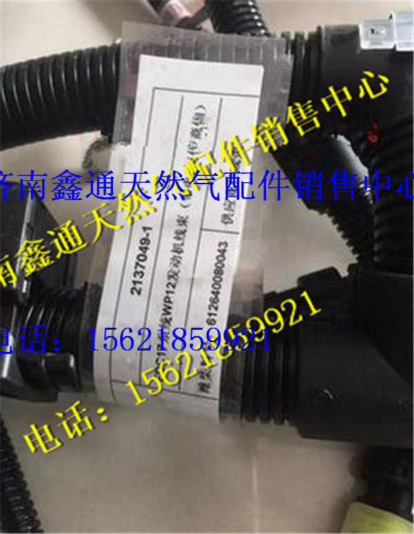 濰柴WP12發(fā)動機(jī)線束總成/612640080043