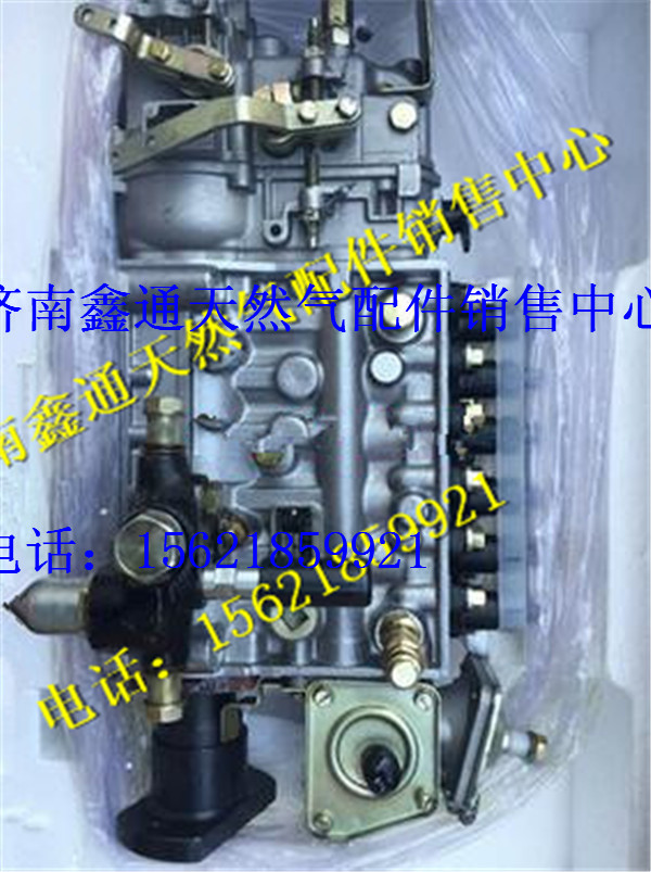 612600081135,濰柴發(fā)動(dòng)機(jī)噴油泵,濟(jì)南鑫通天然氣銷售中心