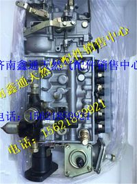 612600081135,濰柴發(fā)動(dòng)機(jī)噴油泵,濟(jì)南鑫通天然氣銷售中心