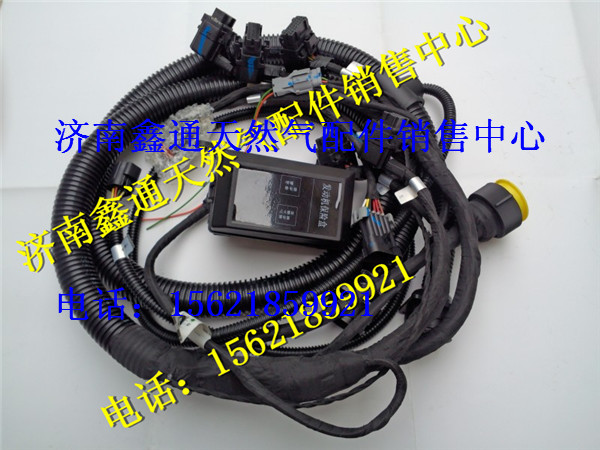 612600190499,濰柴天然氣發(fā)動機(jī)ECU線束,濟(jì)南鑫通天然氣銷售中心