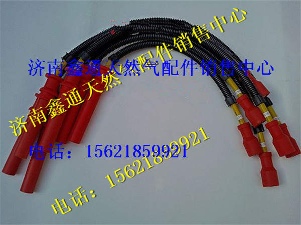 612600190948,濰柴天然氣發(fā)動機高壓線,濟南鑫通天然氣銷售中心