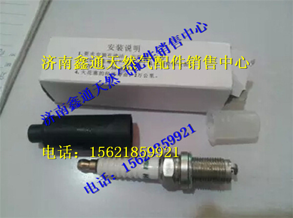 南充天燃氣發(fā)動機火花塞/K8RTPP