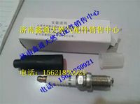 南充天燃氣發(fā)動機火花塞