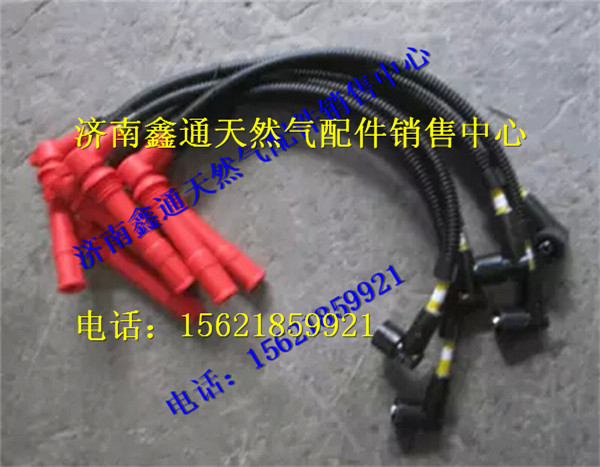 612600190709,濰柴WP10燃氣高壓導(dǎo)線,濟南鑫通天然氣銷售中心