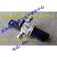 濰柴天然氣高壓燃?xì)鉃V芯