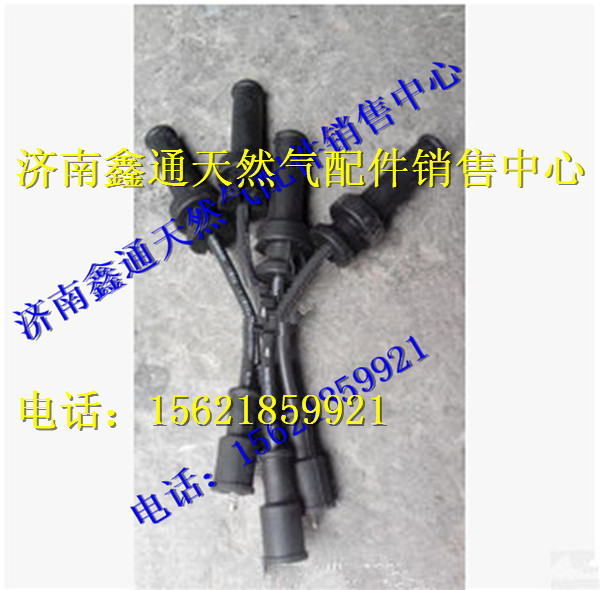 玉柴燃?xì)獍l(fā)動(dòng)機(jī)高壓點(diǎn)火導(dǎo)線/D4300-3705070