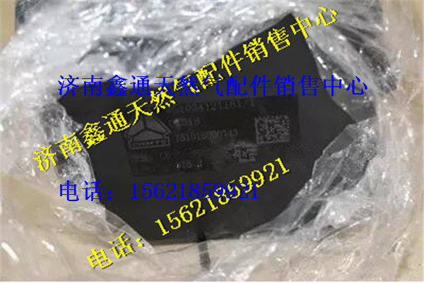 WG1034121181,重汽尿素泵箱集成系統(tǒng),濟南鑫通天然氣銷售中心