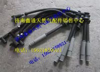 玉柴天然氣高壓導(dǎo)線