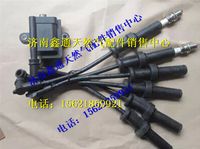 玉柴天然氣發(fā)動機高壓導線