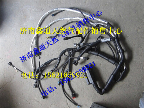 J5700-3823200C,玉柴天然氣發(fā)動(dòng)機(jī)線(xiàn)束,濟(jì)南鑫通天然氣銷(xiāo)售中心
