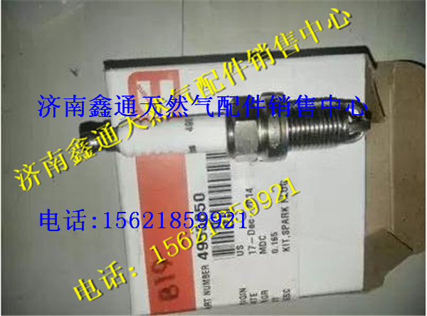 東風(fēng)康明斯燃?xì)獍l(fā)動(dòng)機(jī)火花塞/4955850