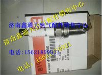 東風(fēng)康明斯燃?xì)獍l(fā)動(dòng)機(jī)火花塞