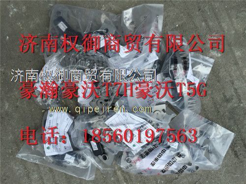 WG1664820018,重汽新斯太爾左右儀表面罩組件WG1682167010WG1682168131,濟南權(quán)御進出口有限公司