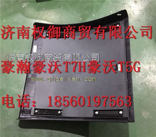 WG9719950201,重汽新斯太爾左右儀表面罩組件WG1682167010WG1682168110,濟(jì)南權(quán)御進(jìn)出口有限公司