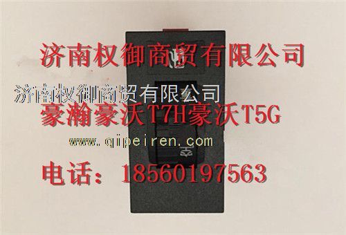 WG9925581081,重汽新斯太爾左右儀表面罩組件WG1682167010WG1682168075,濟南權(quán)御進出口有限公司