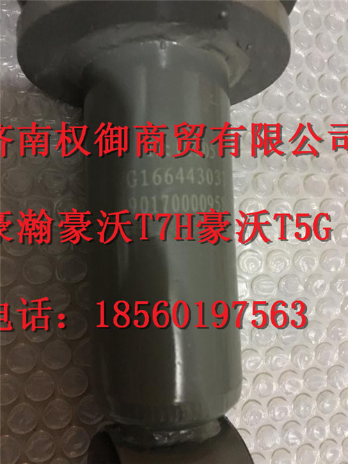 WG1664430310,重汽新斯太爾左右儀表面罩組件WG1682167010WG1682167841,濟南權御進出口有限公司