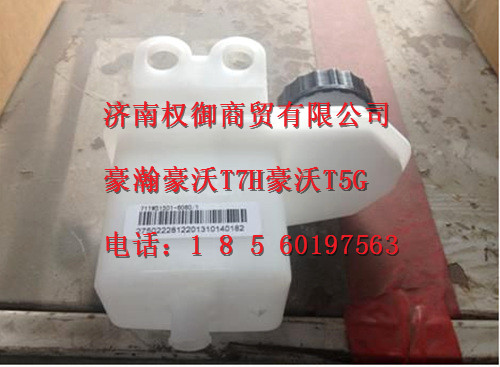 711W51501-6060,重汽新斯太爾左右儀表面罩組件WG1682167010WG1682167498,濟(jì)南權(quán)御進(jìn)出口有限公司