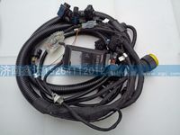 612600190737   ,濰柴天然氣發(fā)動機(jī)ECU線束                    ,濟(jì)南鑫達(dá)重卡汽車配件有限公司