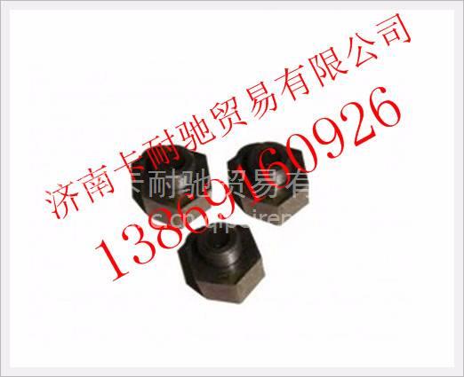 VG1246110046,,濟(jì)南卡耐馳汽車配件有限公司