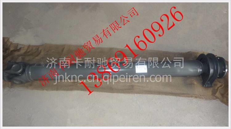 DZ9112313132,,濟南卡耐馳汽車配件有限公司