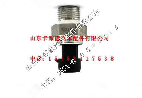 VG1092090311,重汽豪沃電噴機油壓力傳感器,山東卡濰德汽車配件有限公司