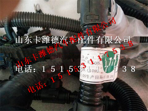 812W25424-6365,重汽曼MC11全功能發(fā)動(dòng)機(jī)線束,山東卡濰德汽車配件有限公司