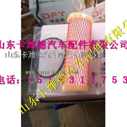 612600190993,濰柴天然氣低壓濾芯,山東卡濰德汽車(chē)配件有限公司