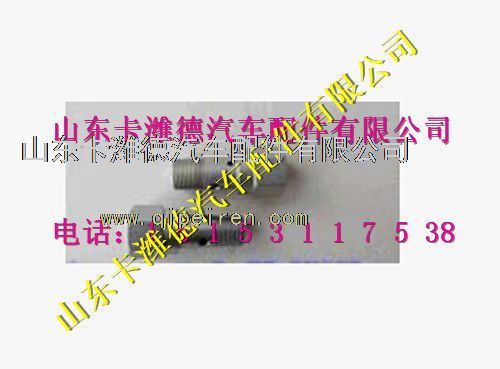 2469403530,濰柴天然氣發(fā)動(dòng)機(jī)溢流閥,山東卡濰德汽車(chē)配件有限公司