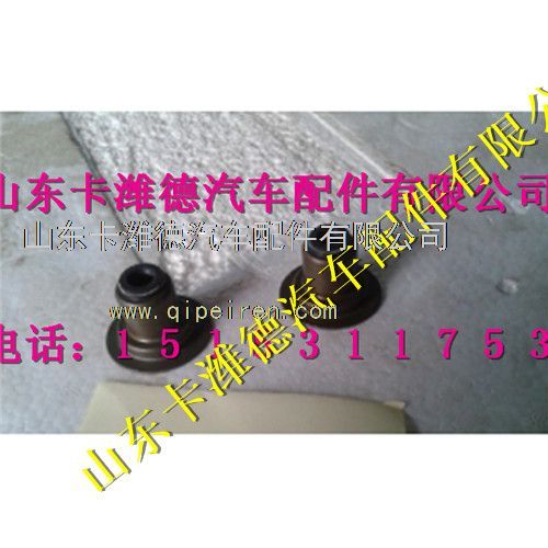 VG1246050167,重汽天然氣配件氣門(mén)油封,山東卡濰德汽車(chē)配件有限公司
