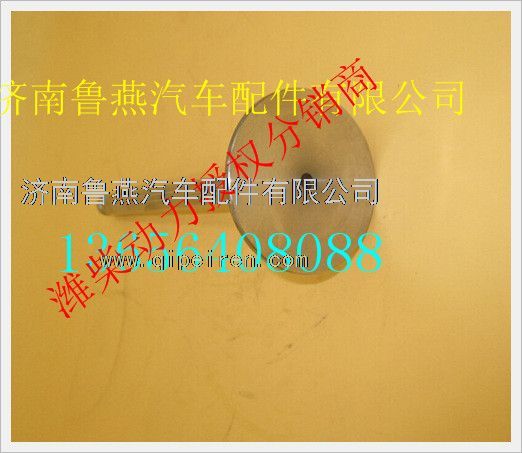 610800040009,濰柴天然氣發(fā)動機進氣門,濟南魯燕汽車配件有限公司