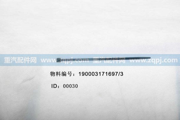 190003171697 