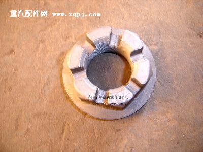 79000320013A,79000320013A.凸緣螺母(貫通軸),濟南港新貿易有限公司